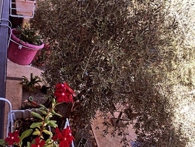 Bella Casetta Guest House Famaguszta Kültér fotó